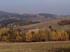Bielówka